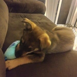 Meet your Posher, Brooke